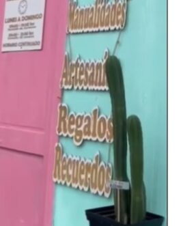 Pack letreros grabado laser