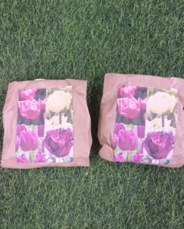 Pack de tulipanes