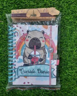 Diario de vida con candado 21cm × 17cm