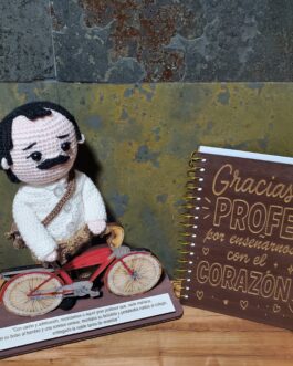 Pedido personalizado profesor